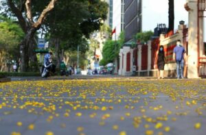 Sài Gòn và những gì còn lại… Sài Gòn và những gì còn lại…