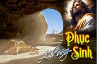 Bản Tin "Tạo Tác Mến Yêu" số 63 Bản Tin "Tạo Tác Mến Yêu" số 63