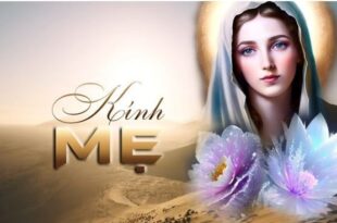 Bản Tin "Tạo Tác Mến Yêu" số 64 Bản Tin "Tạo Tác Mến Yêu" số 64