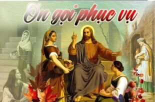 Bản Tin "Tạo Tác Mến Yêu" số 66 Bản Tin "Tạo Tác Mến Yêu" số 66