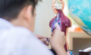 Giỡn chơi trên cơ thể Giỡn chơi trên cơ thể