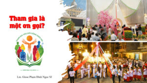 Tham gia là một ơn gọi? Tham gia là một ơn gọi?