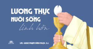 Lương Thực Nuôi Sống Linh Hồn|Suy tư Tin Mừng Chúa Nhật 20 Thường Niên năm B Lương Thực Nuôi Sống Linh Hồn|Suy tư Tin Mừng Chúa Nhật 20 Thường Niên năm B
