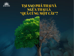 Tại sao phá thai và ngừa thai là “quả cùng một cây”? Tại sao phá thai và ngừa thai là “quả cùng một cây”?