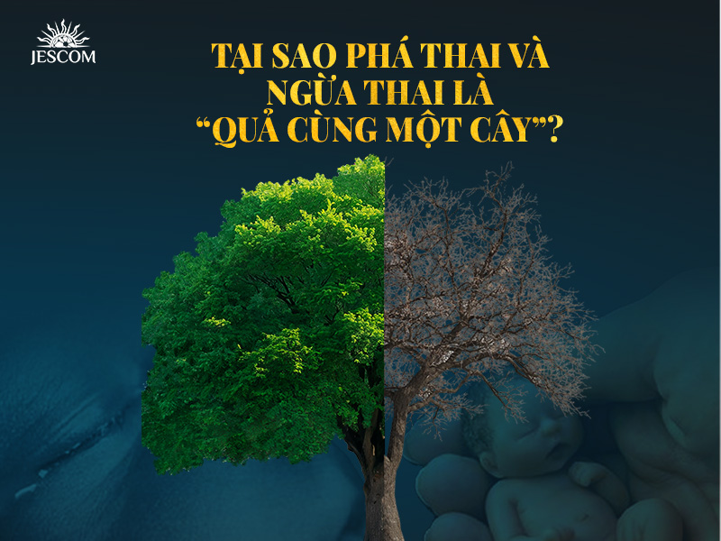 Tại sao phá thai và ngừa thai là “quả cùng một cây”?