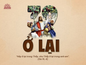 Bài tập Mùa Phục Sinh - Bài 39: Ở lại trong Thầy Bài tập Mùa Phục Sinh - Bài 39: Ở lại trong Thầy