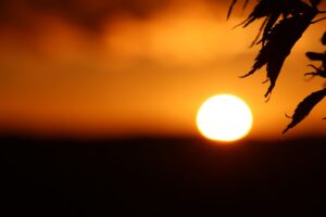 Tiết Độ giúp thanh thoát Tiết Độ giúp thanh thoát