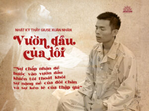 Nhật ký của Thầy Nhân - VƯỜN DẦU CỦA TÔI Nhật ký của Thầy Nhân - VƯỜN DẦU CỦA TÔI