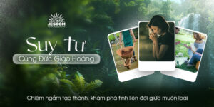 Suy Tư Cùng Đức Giáo Hoàng | Chiêm ngắm tạo thành, khám phá tình liên đới giữa muôn loài Suy Tư Cùng Đức Giáo Hoàng | Chiêm ngắm tạo thành, khám phá tình liên đới giữa muôn loài