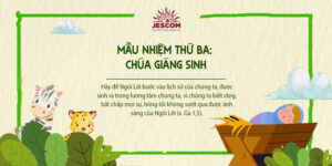 interested post image interested post image