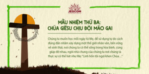 interested post image interested post image