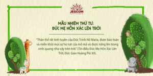 interested post image interested post image