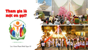 Tham gia là một ơn gọi?