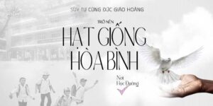 Suy Tư cùng ĐGH: Trở Nên Hạt Giống Hòa Bình Nơi Học Đường Suy Tư cùng ĐGH: Trở Nên Hạt Giống Hòa Bình Nơi Học Đường