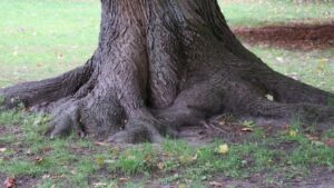 Tại sao cần trau dồi và phát triển đời sống tâm linh, đức tin? Tại sao cần trau dồi và phát triển đời sống tâm linh, đức tin?