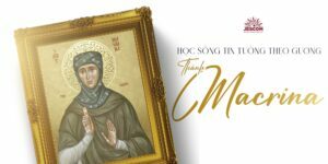 interested post image interested post image