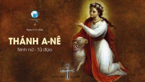 Tông Đồ Cầu Nguyện, 21-01-2026 Tông Đồ Cầu Nguyện, 21-01-2026