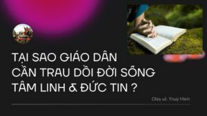 Tại sao Giáo dân cần trau dồi đời sống Tâm Linh và Đức Tin ?
