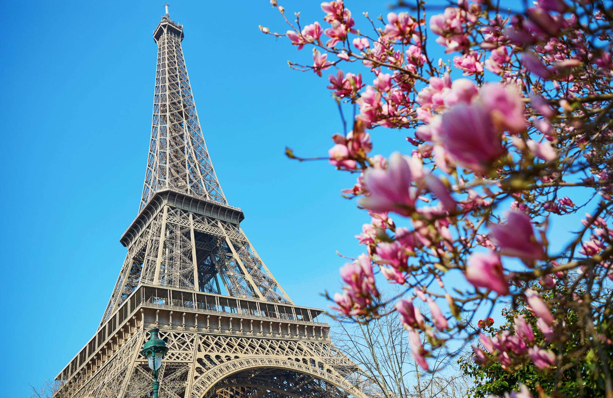 4 Nước: Ý, Bồ Đào Nha, Tây Ban Nha, Pháp: 15-27/6/2026