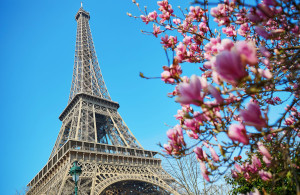 interested post image