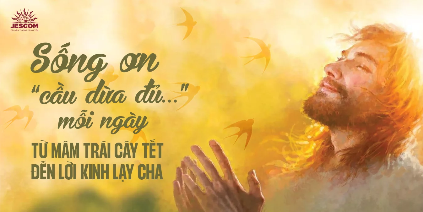 Sống ơn ‘cầu dừa đủ…’ mỗi ngày - từ mâm trái cây Tết đến lời Kinh Lạy Cha