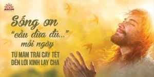 Sống ơn ‘cầu dừa đủ…’ mỗi ngày - từ mâm trái cây Tết đến lời Kinh Lạy Cha