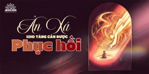 Ân Xá - Kho Tàng Cần Được Phục Hồi