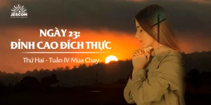Ngày Thứ Hai Mươi Ba: Đỉnh Cao Đích Thực