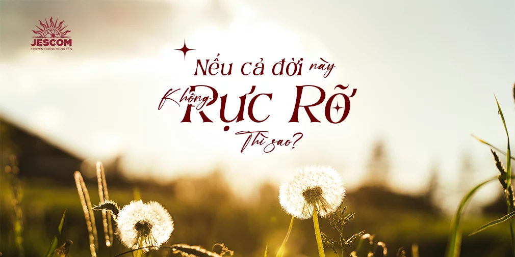 Nếu cả đời này không rực rỡ thì sao?