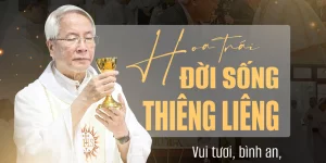 Vui tươi, bình an, triển nở, hạnh phúc - Hoa trái của đời sống thiêng liêng Vui tươi, bình an, triển nở, hạnh phúc - Hoa trái của đời sống thiêng liêng