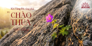 Khi tảng đá cũng phải “chào thua” sức sống Khi tảng đá cũng phải “chào thua” sức sống